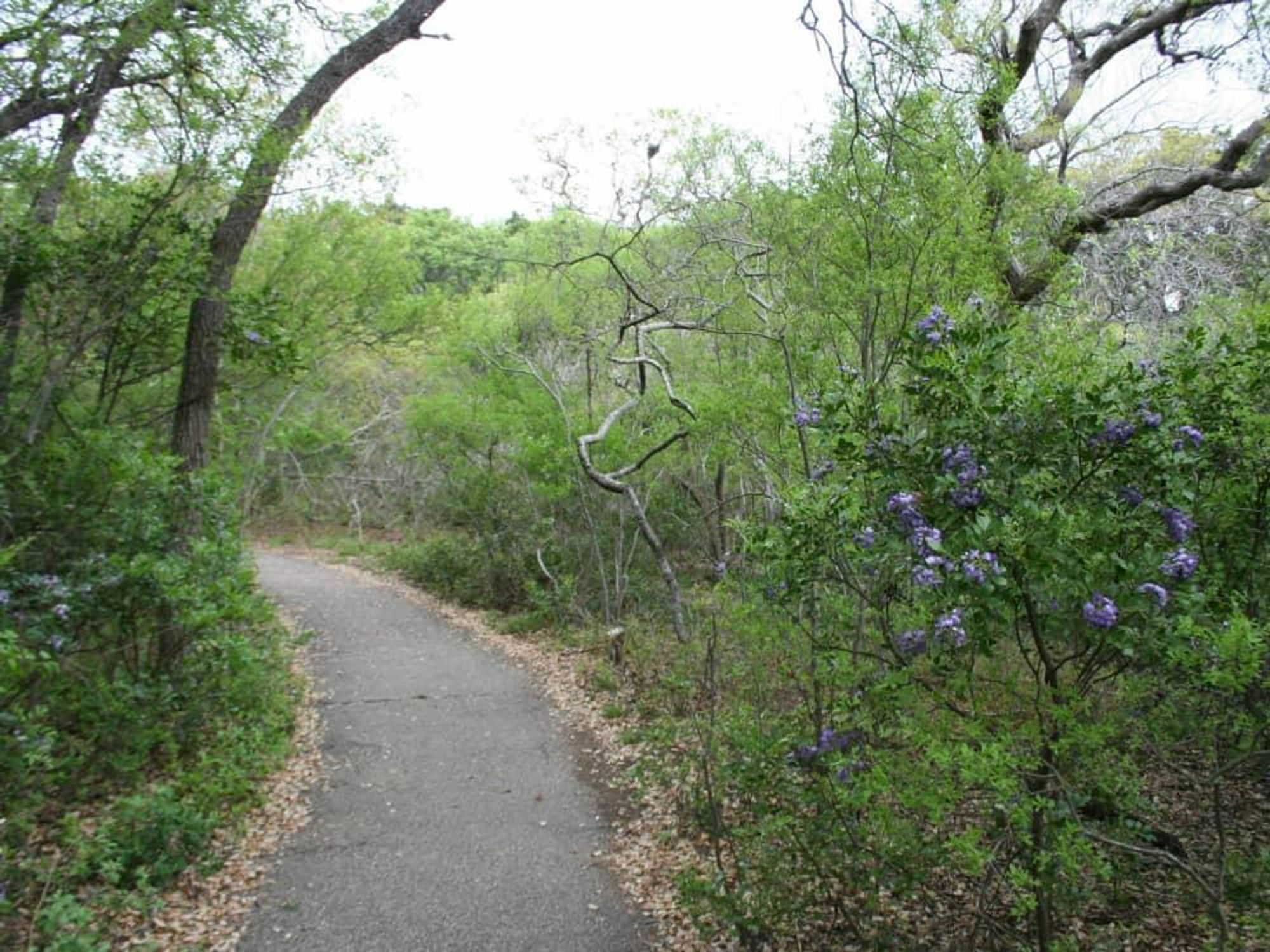 San Antonio hiking hike bike trail park outdoors 2015