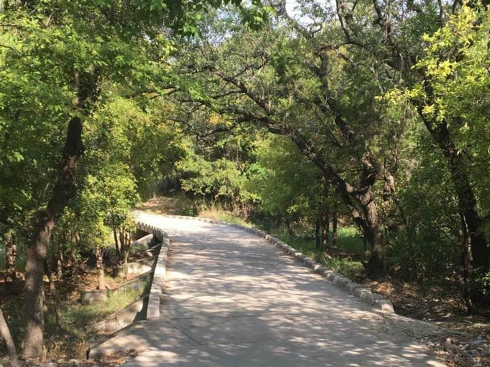 San Antonio park trail trees