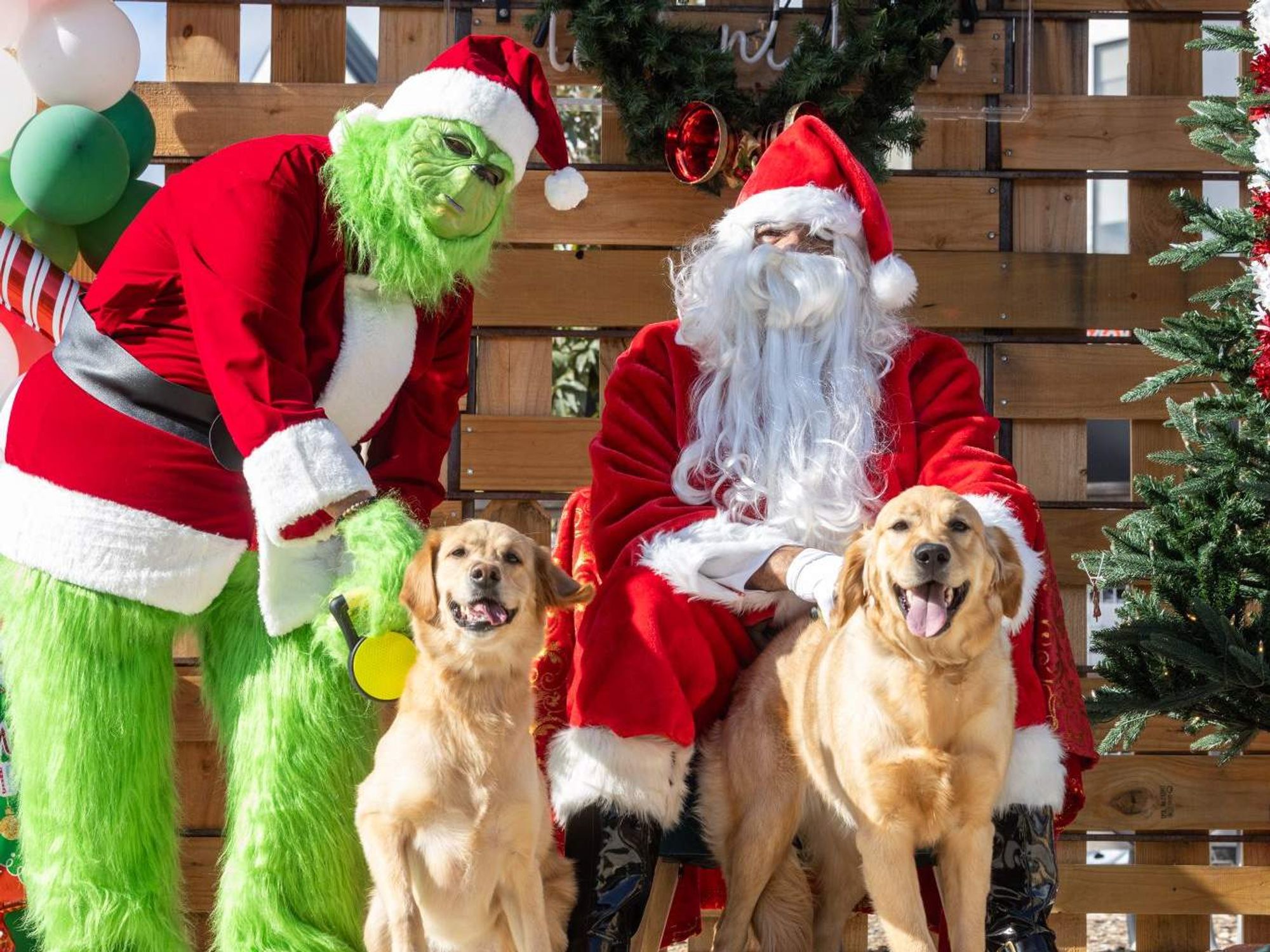 San Antonio Pets Alive!