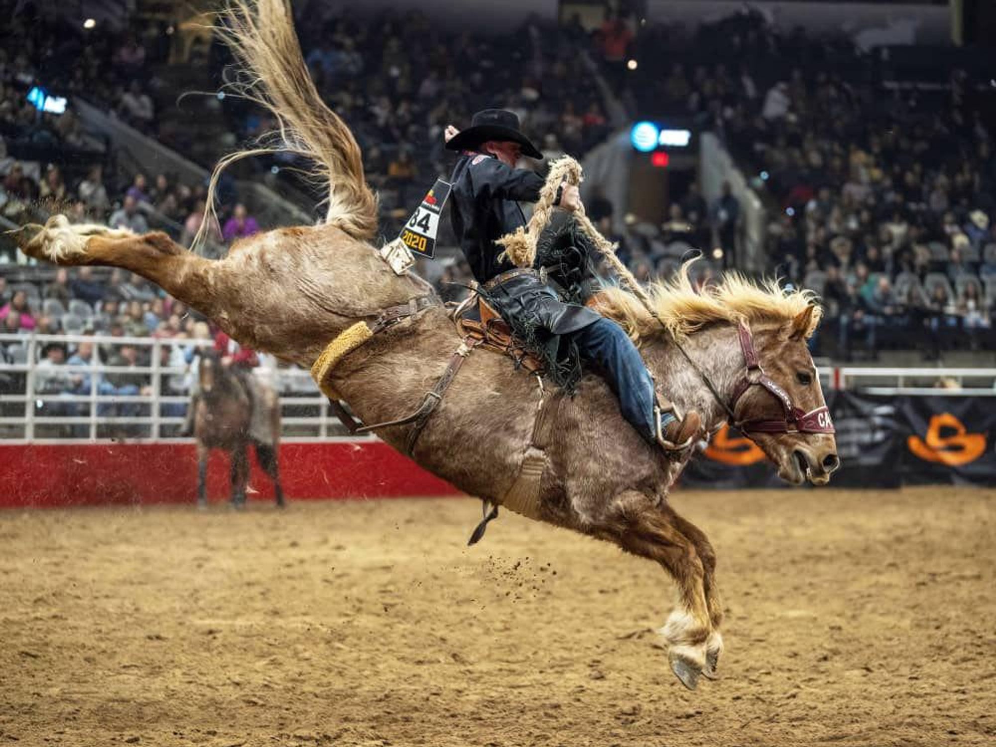 San Antonio Stock Show & Rodeo