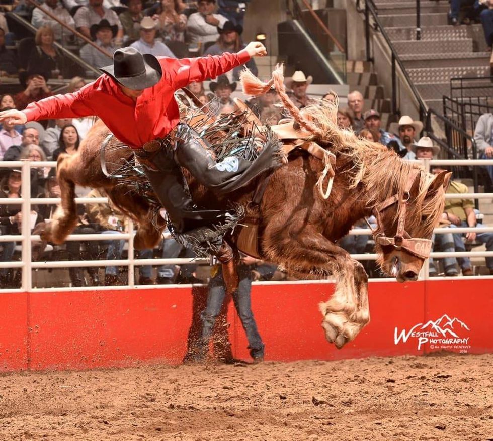 San Antonio Stock Show & Rodeo