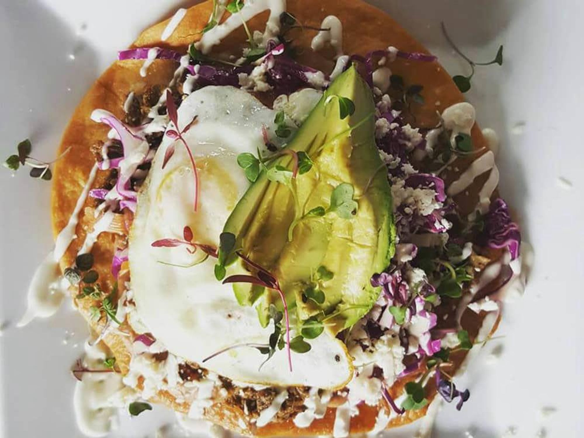 Sangria on the Burg carnita chalupa