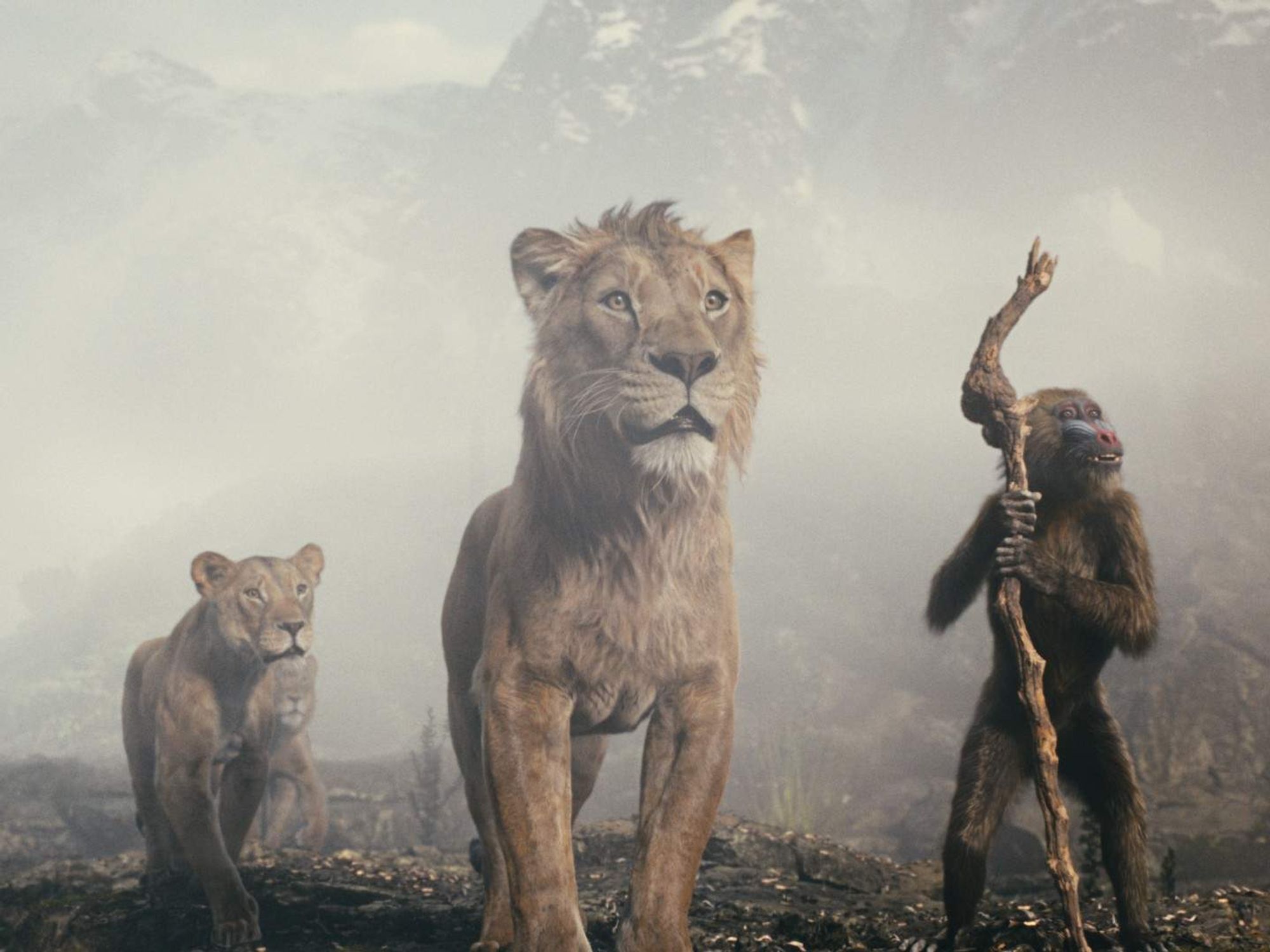 Sarabi, Mufasa, and Rafiki in Mufasa: The Lion King