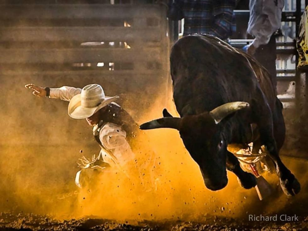 Saturday Night Rodeo