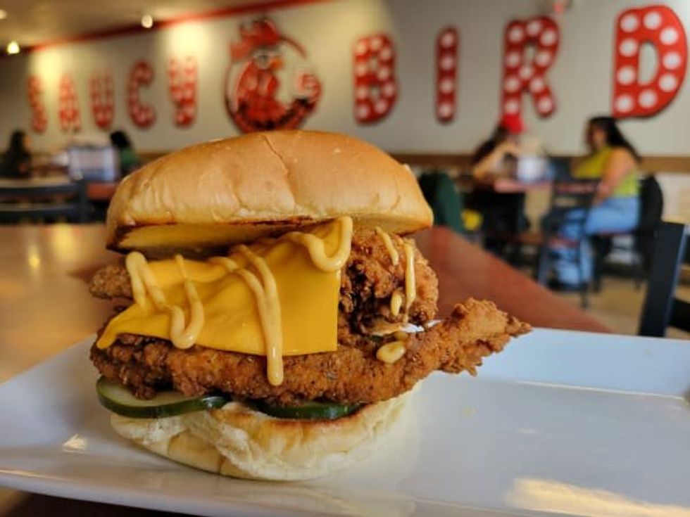 Saucy Birds San Antonio