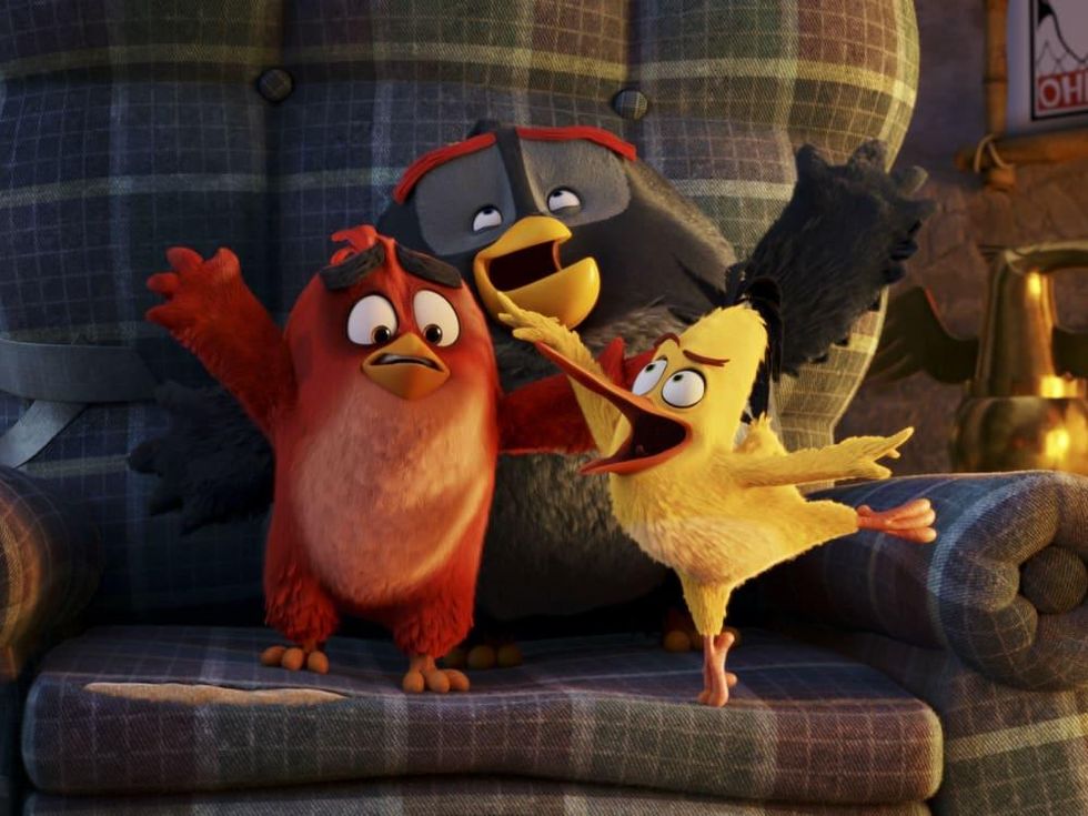 Scene from The Angry Birds Movie
