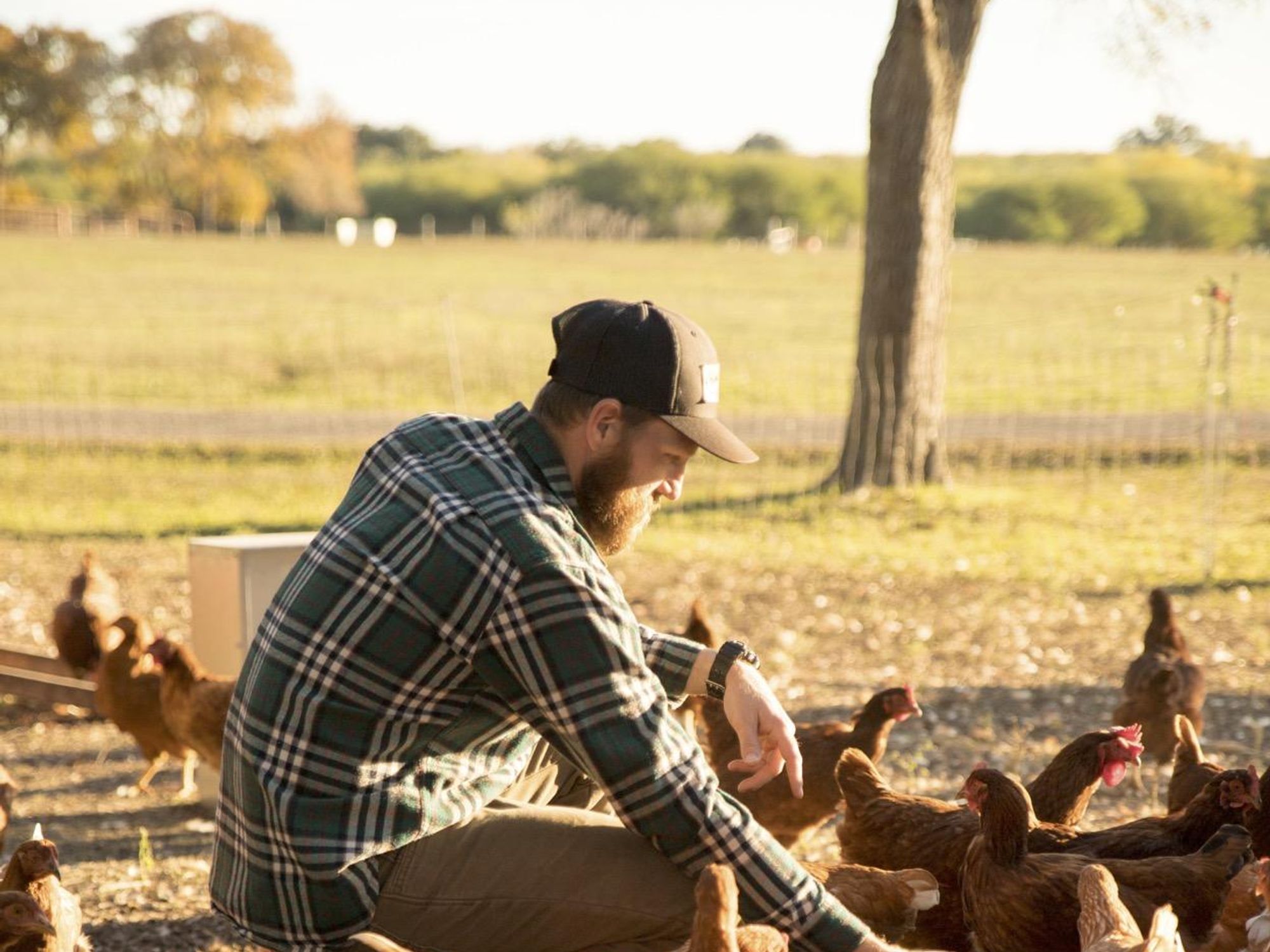Schertz-based Behind the Oaks Farm will be among featured Texas farms, ranches and artisan food-makers at the Oct. 20 Chefs for Local Farmers dinner fundraiser in downtown San Antonio. 