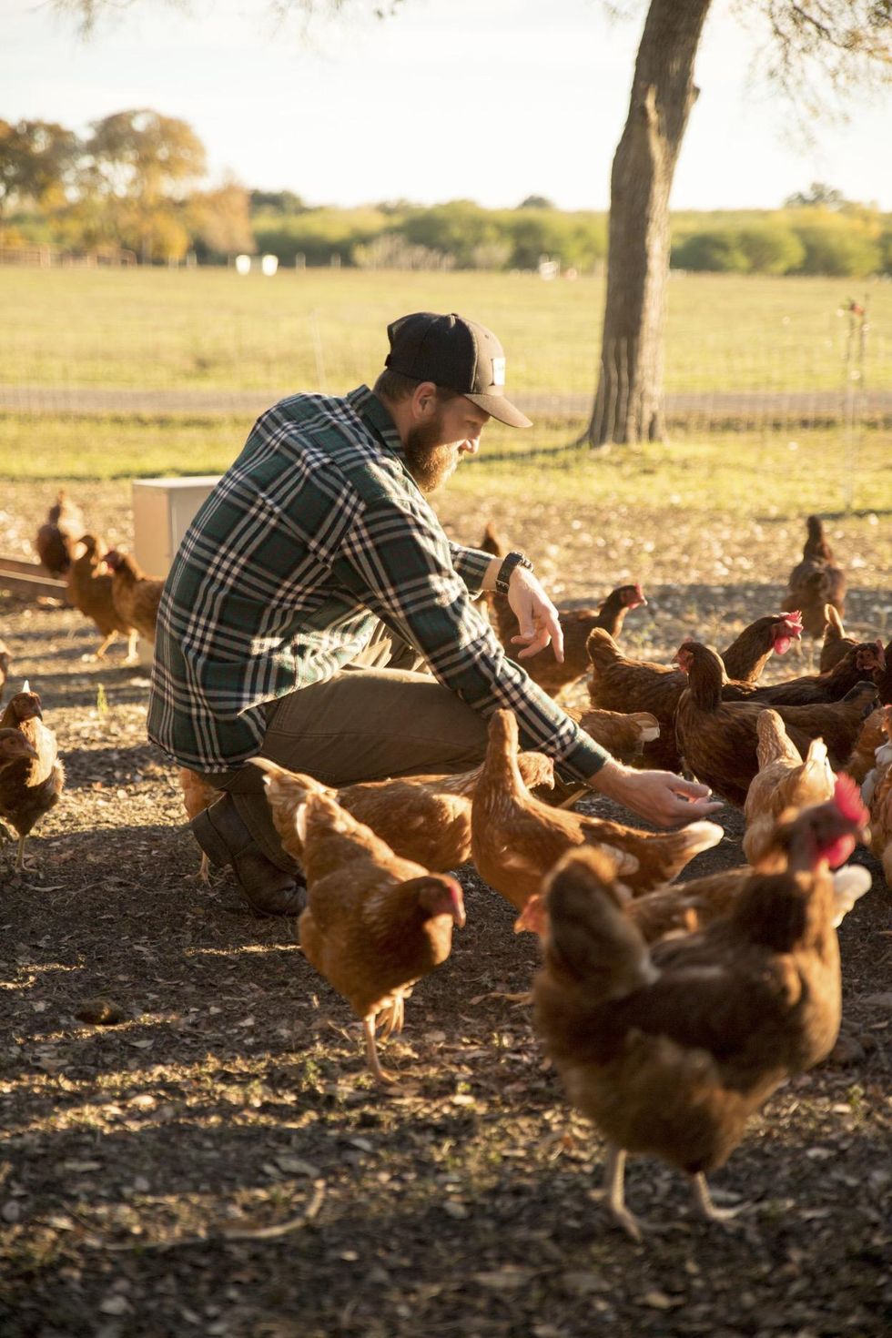 Schertz-based Behind the Oaks Farm will be among featured Texas farms, ranches and artisan food-makers at the Oct. 20 Chefs for Local Farmers dinner fundraiser in downtown San Antonio. 