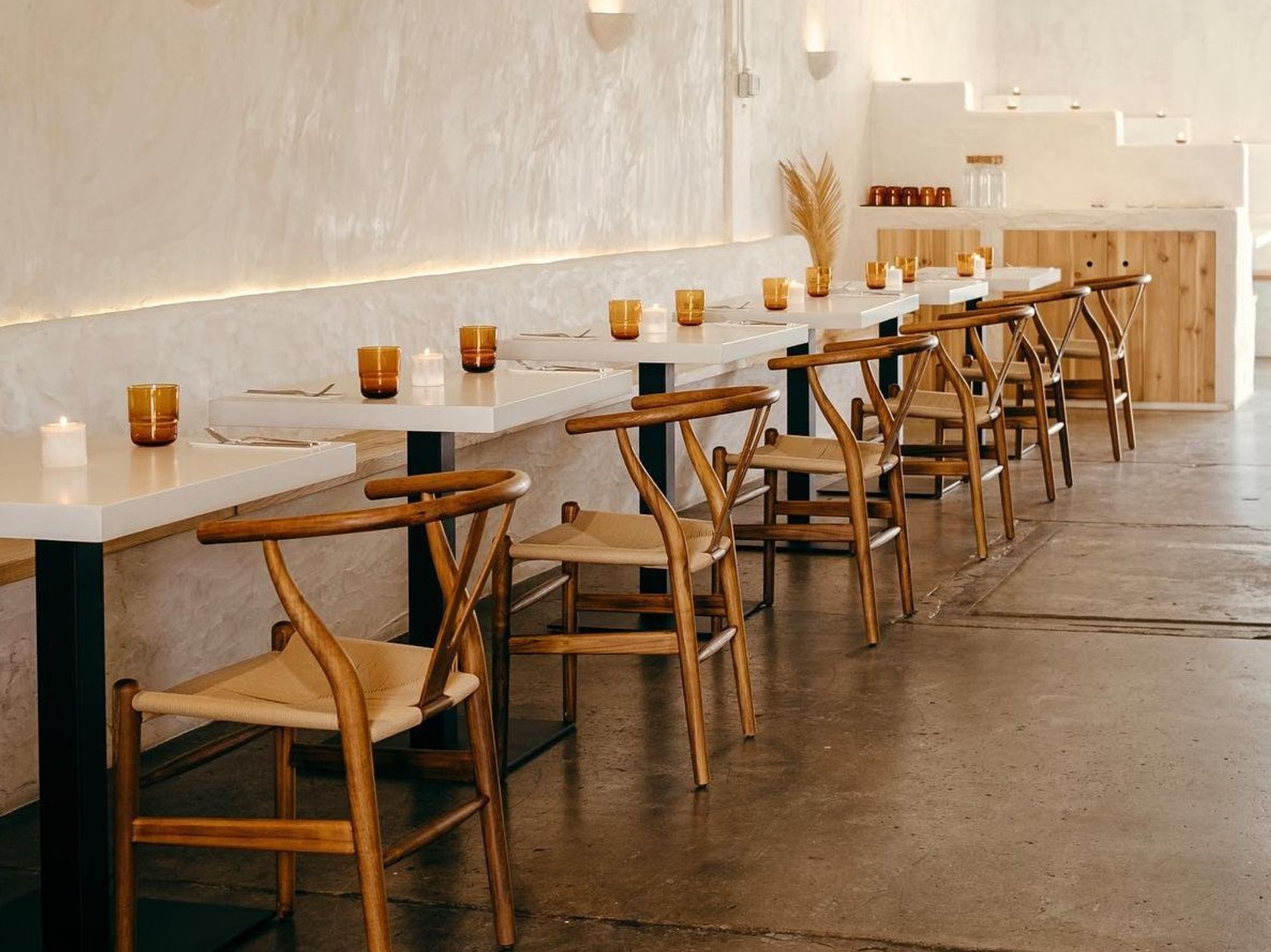 Scorpion San Antonio