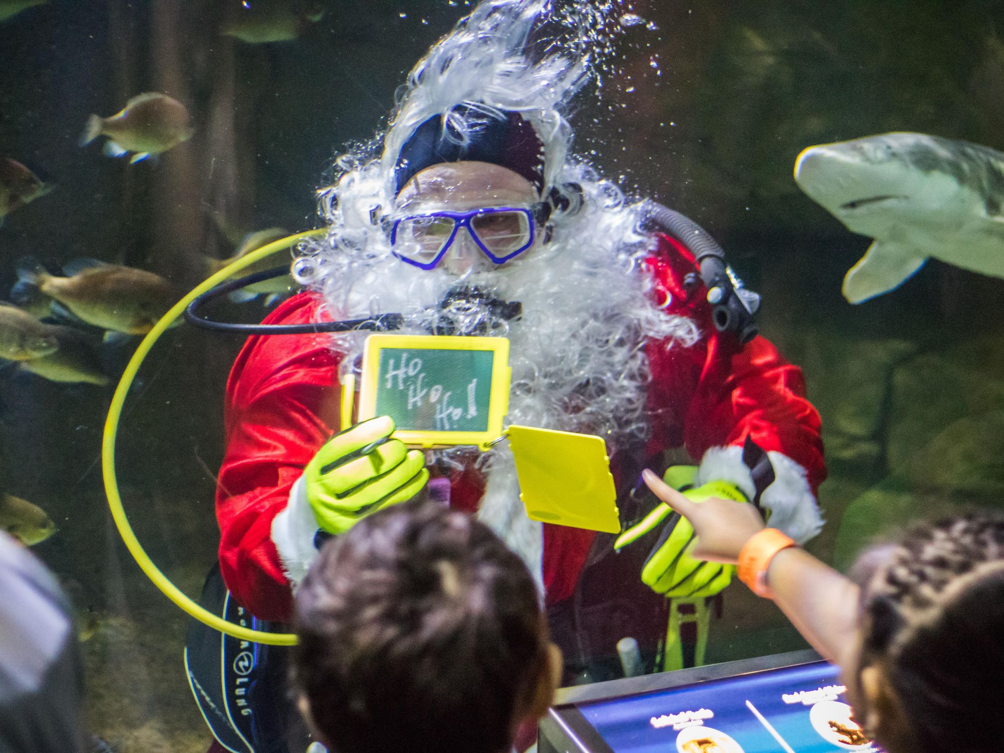 Scuba Claus at Sea Life San Antonio Aquarium