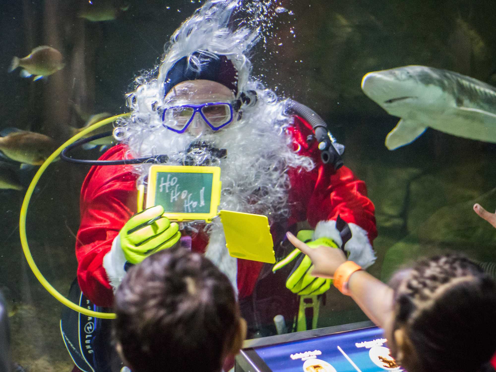 Scuba Claus at Sea Life San Antonio Aquarium