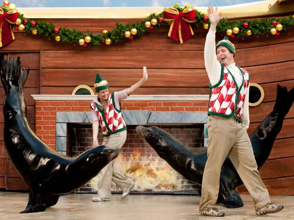 SeaWorld San Antonio presents Christmas Celebration