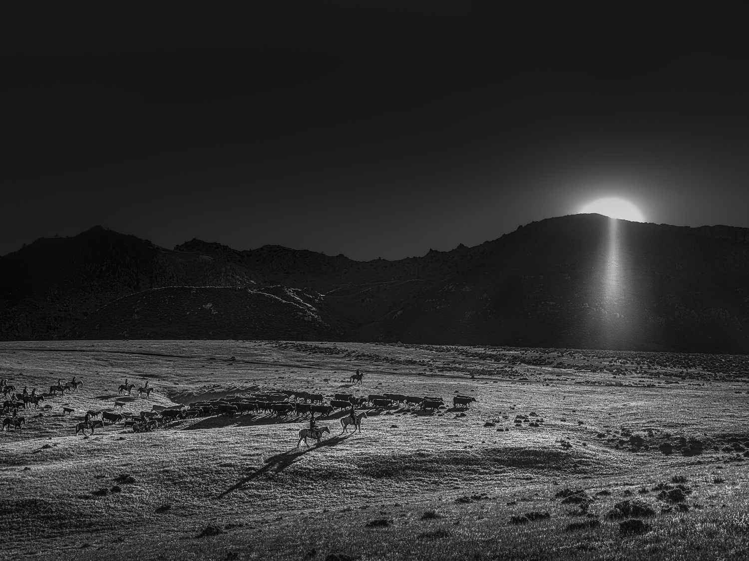 Shot from American Cowboys at the Briscoe Western Art Museum