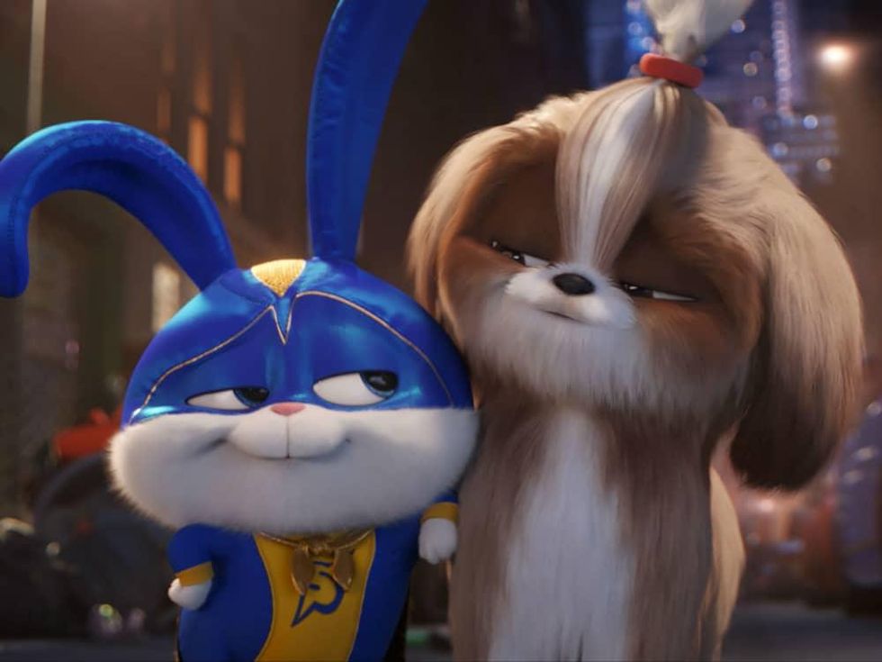 Snowball (Kevin Hart) and Daisy (Tiffany Haddish) in The Secret Life of Pets 2