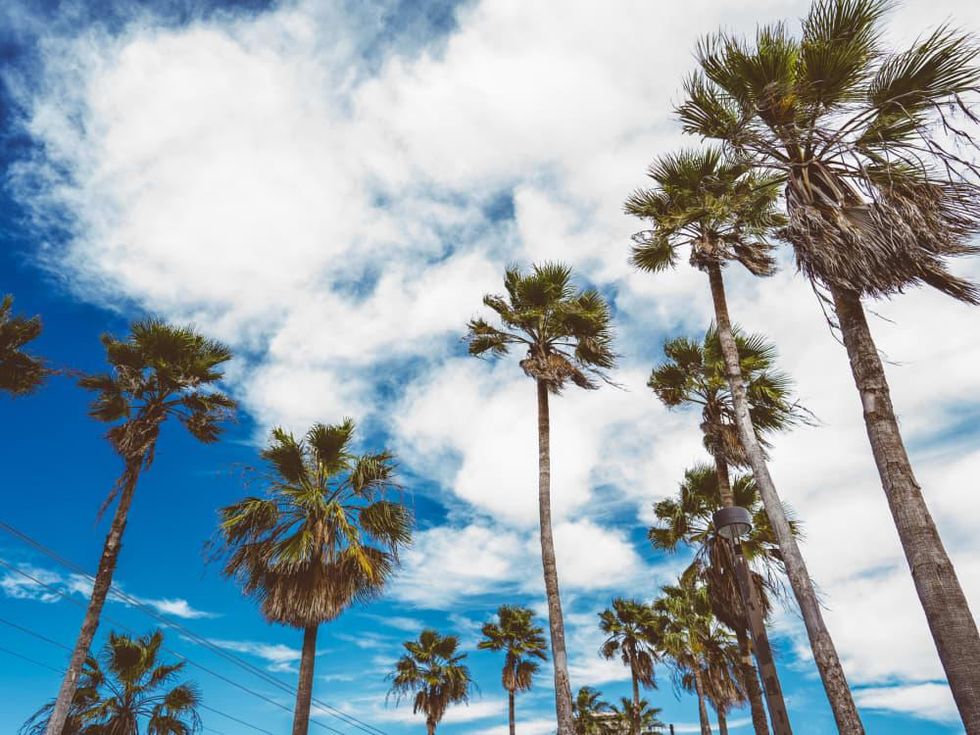 South Padre Island beach