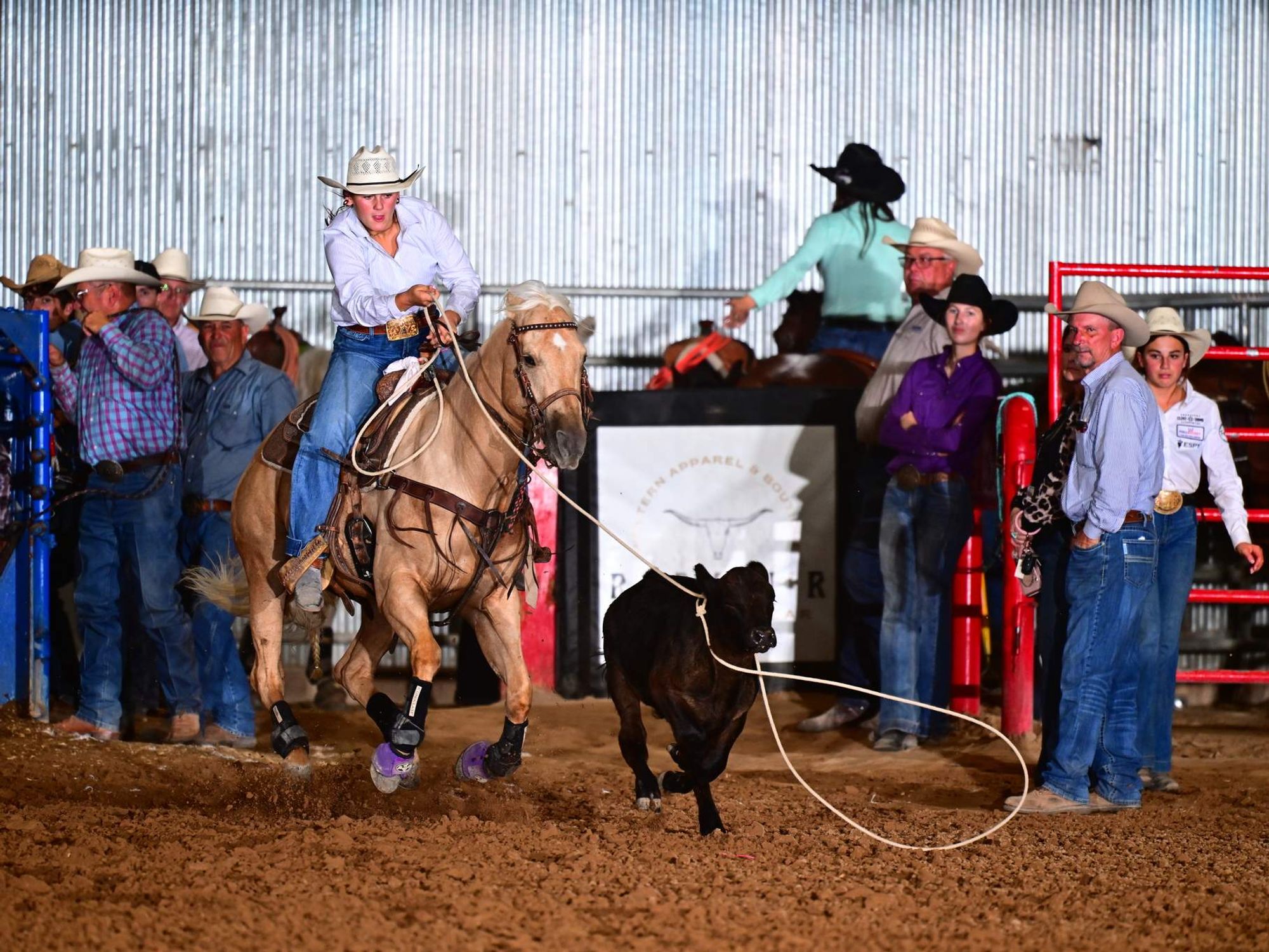 South Texas Showdown