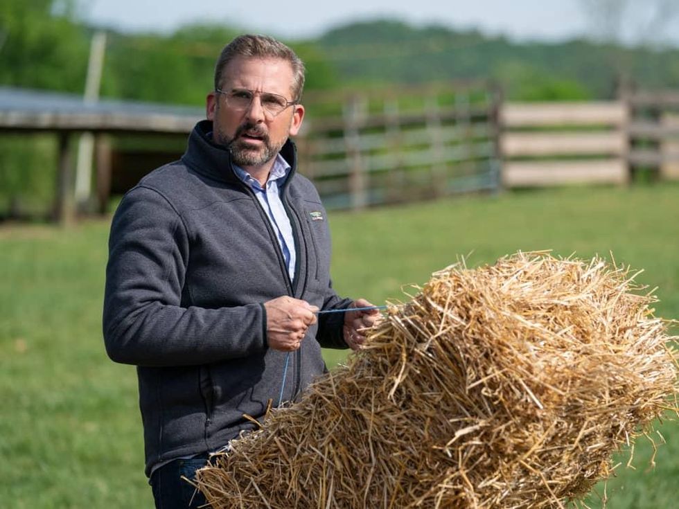 Steve Carell in Irresistible