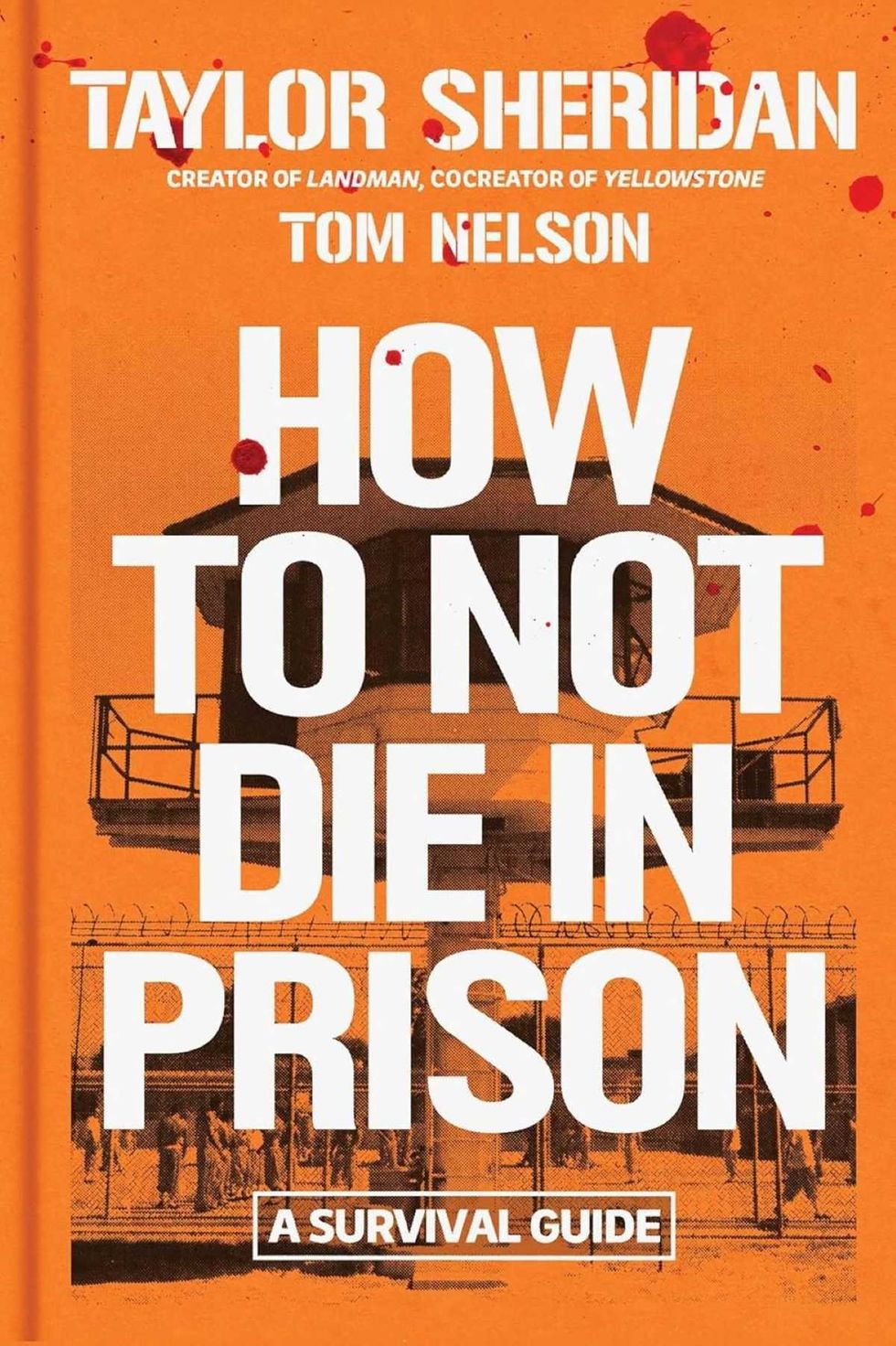Taylor Sheridan, How not to die in prison