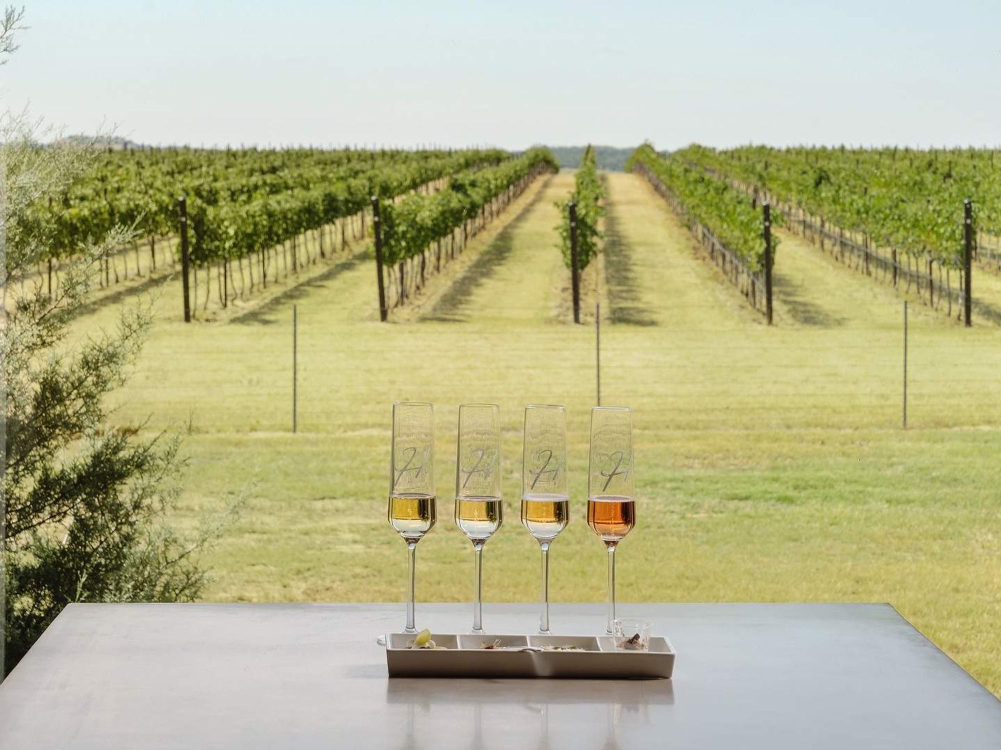 Texas Hill Country Wineries (THCW) promotional image