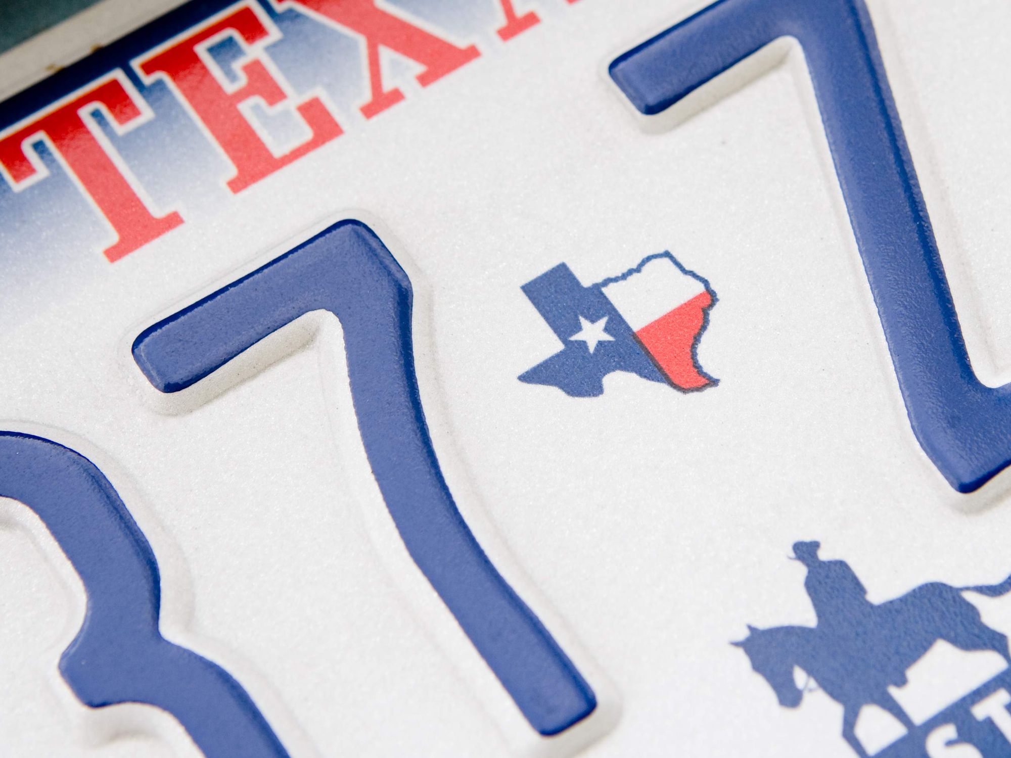 Texas Plate
