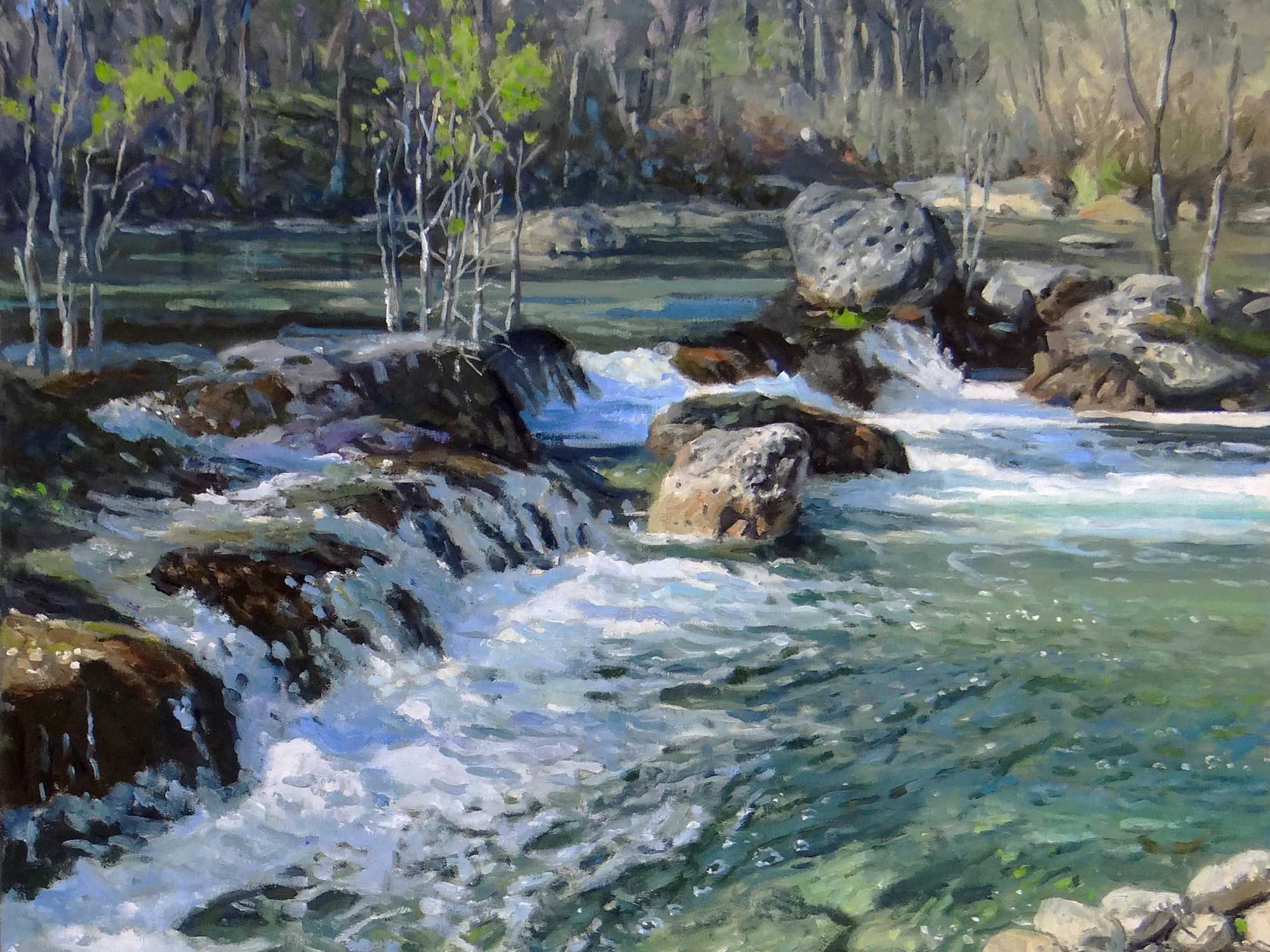 Texas State Parks Centennial