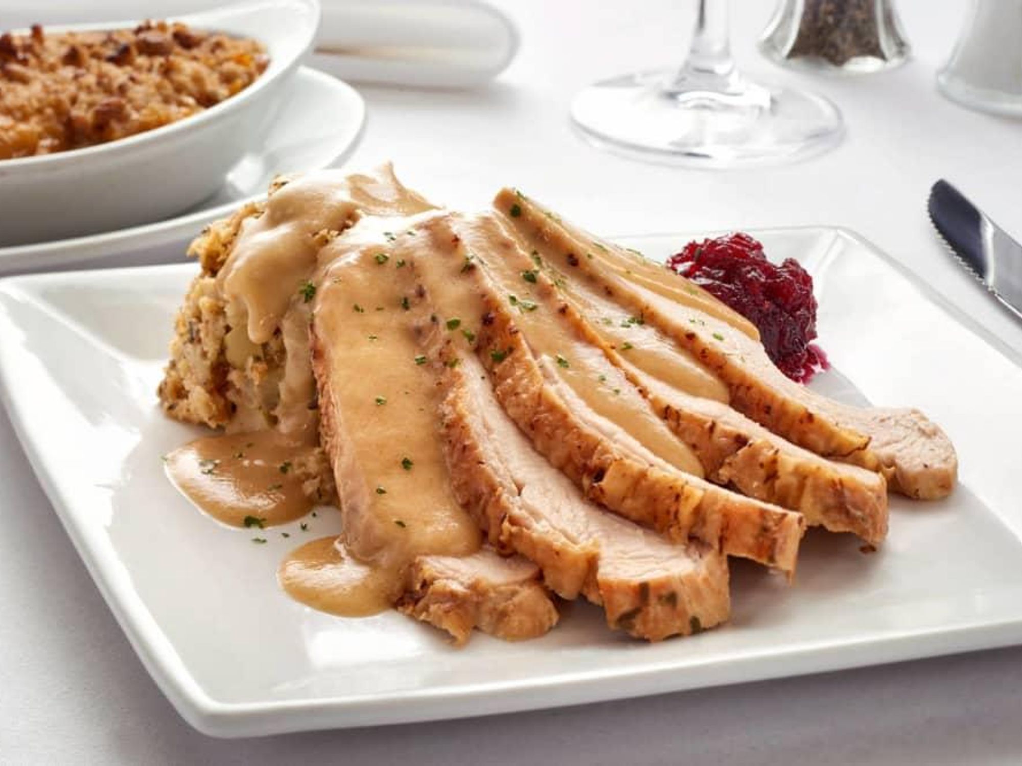 Thanksgiving dinner turkey cranberry sauce