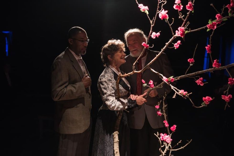 The Cherry Orchard