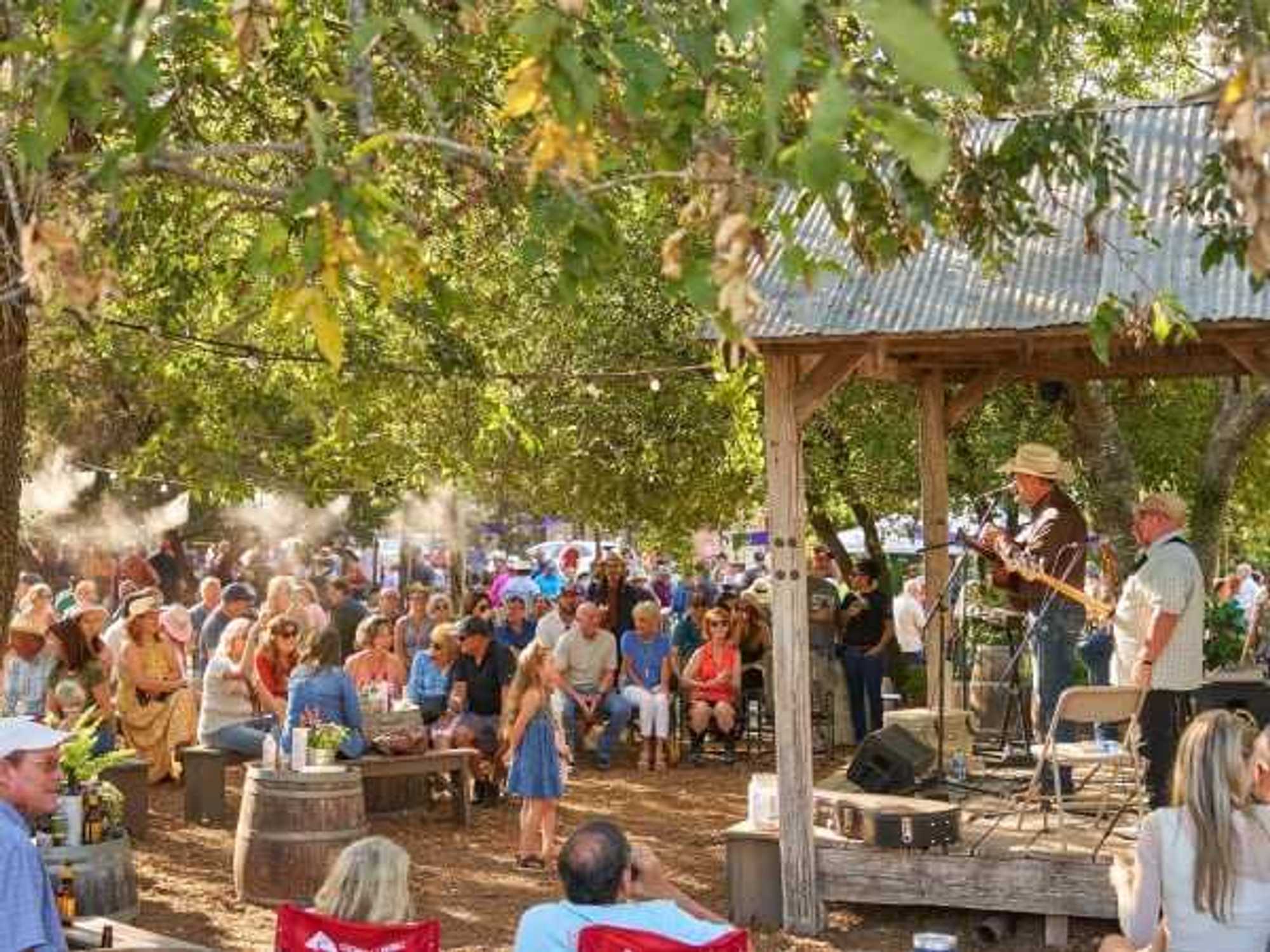 The Gruene Music & Wine Festival