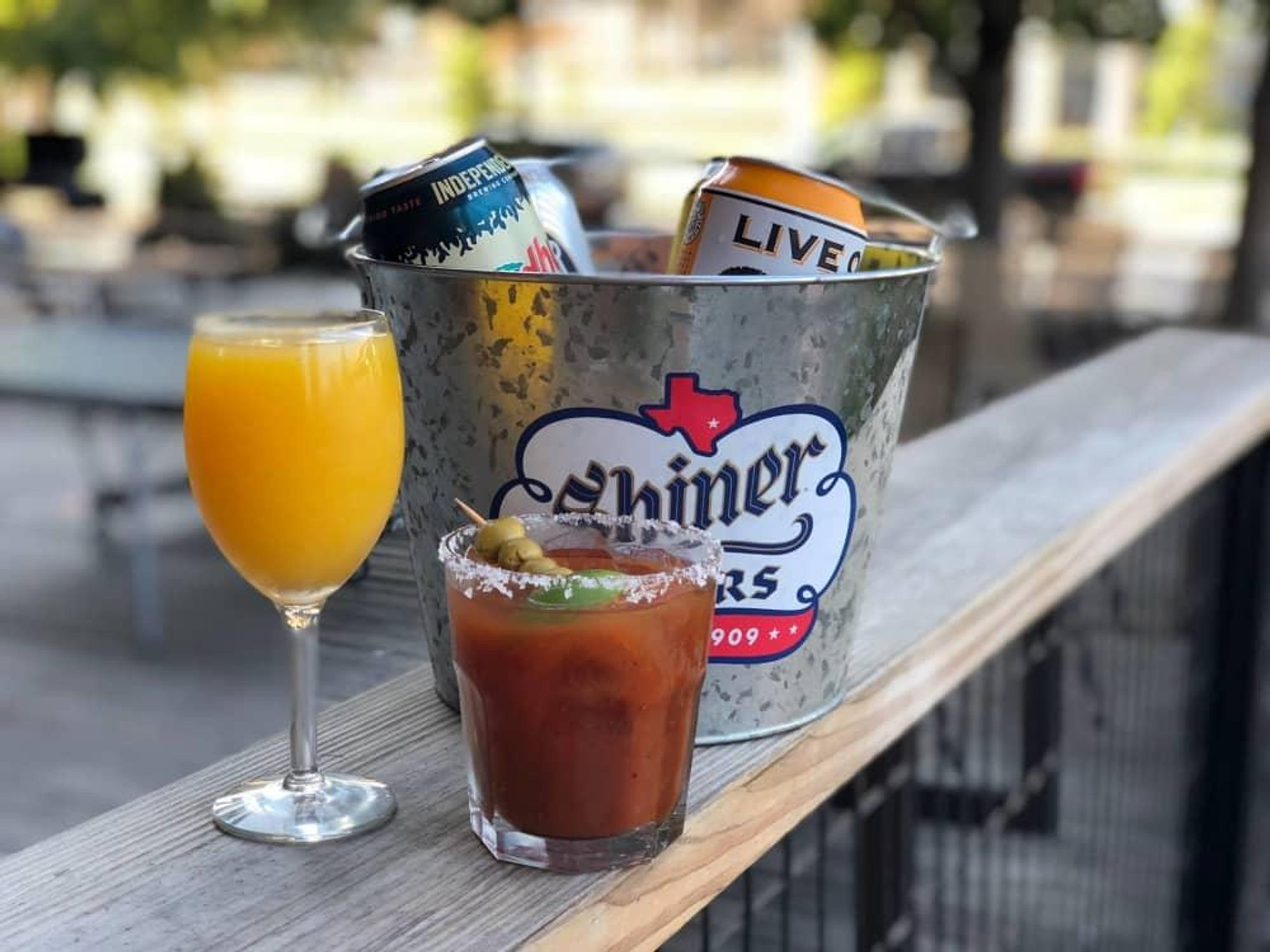 The Roost San Antonio