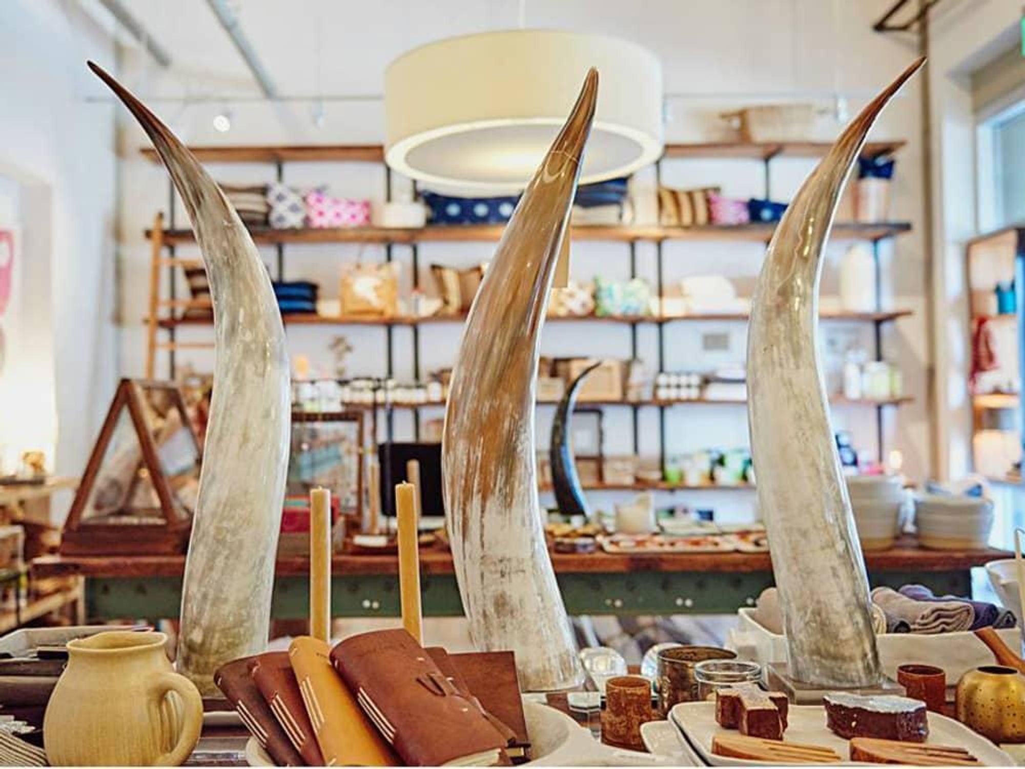 Shop Local! The 10 best local shops in Plano to grab some great gifts -  Local Profile