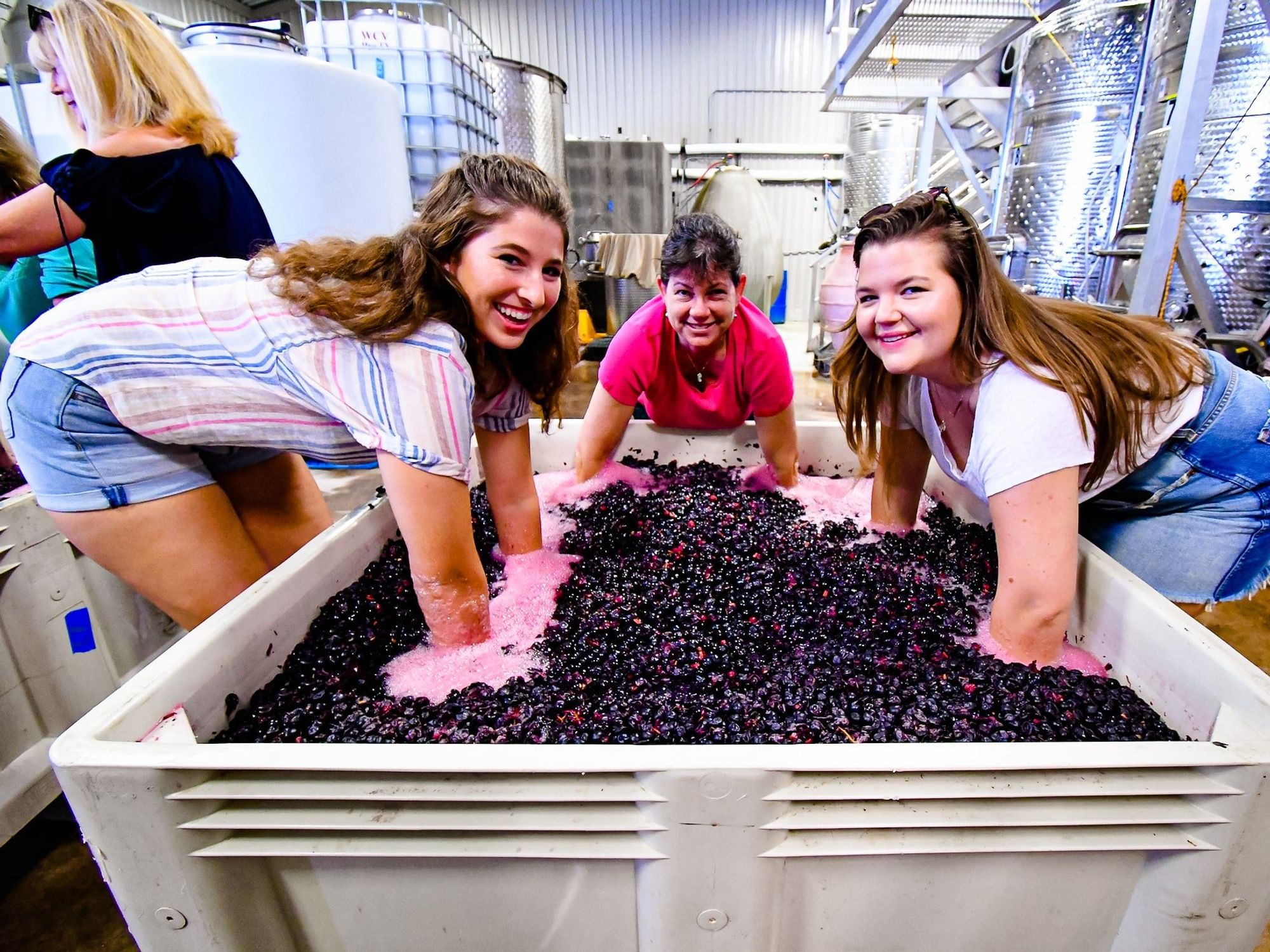 Three women dip their hands in a container full of grapes 