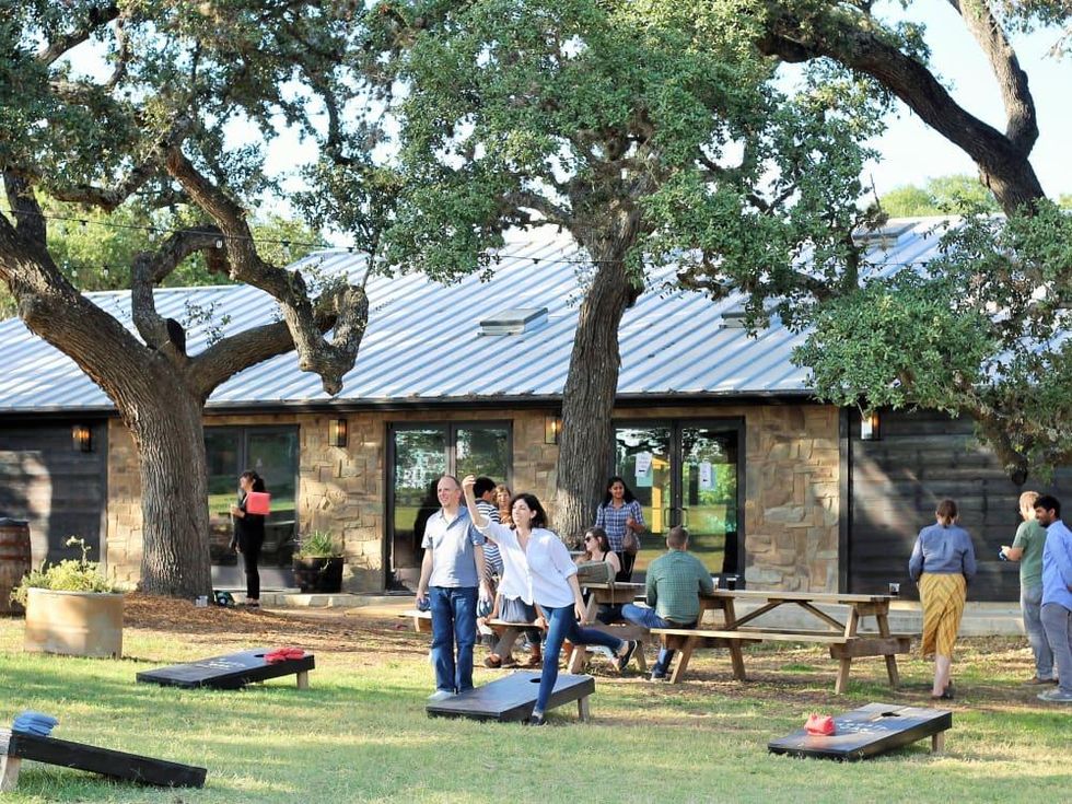 Treaty Oak Ghost Hill Back Yard