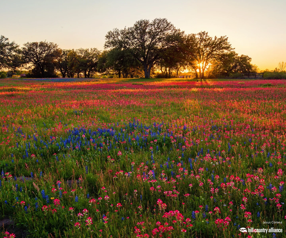 u201cSunsetu201d by Jesus Corona