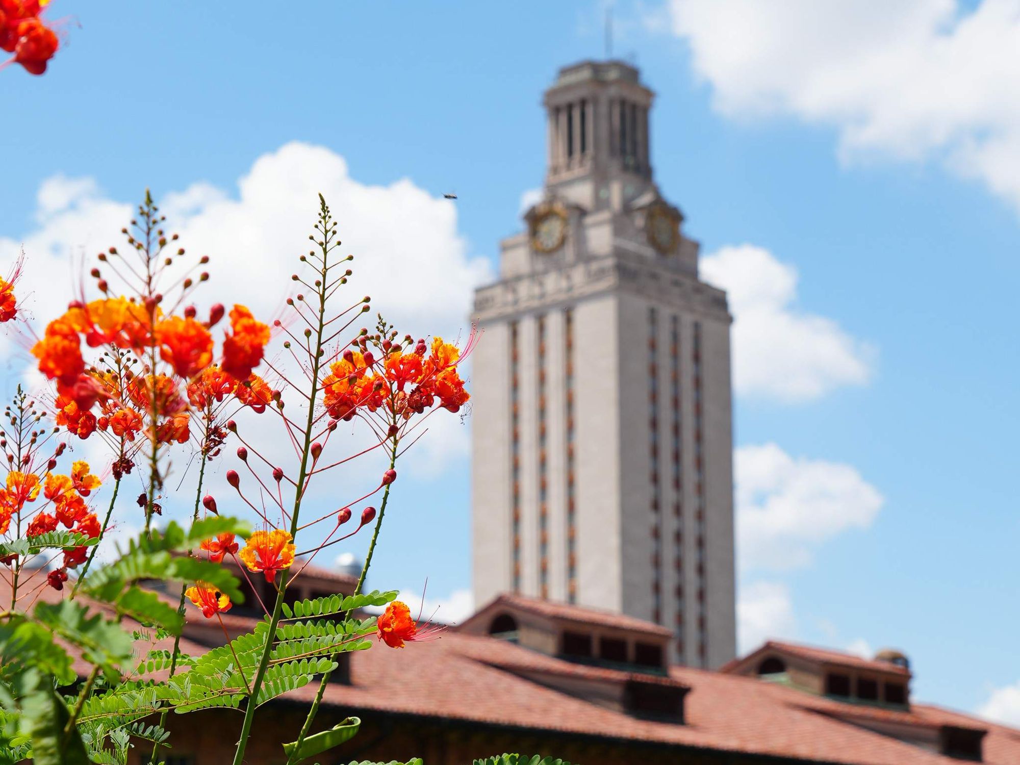 University of Texas at Austin