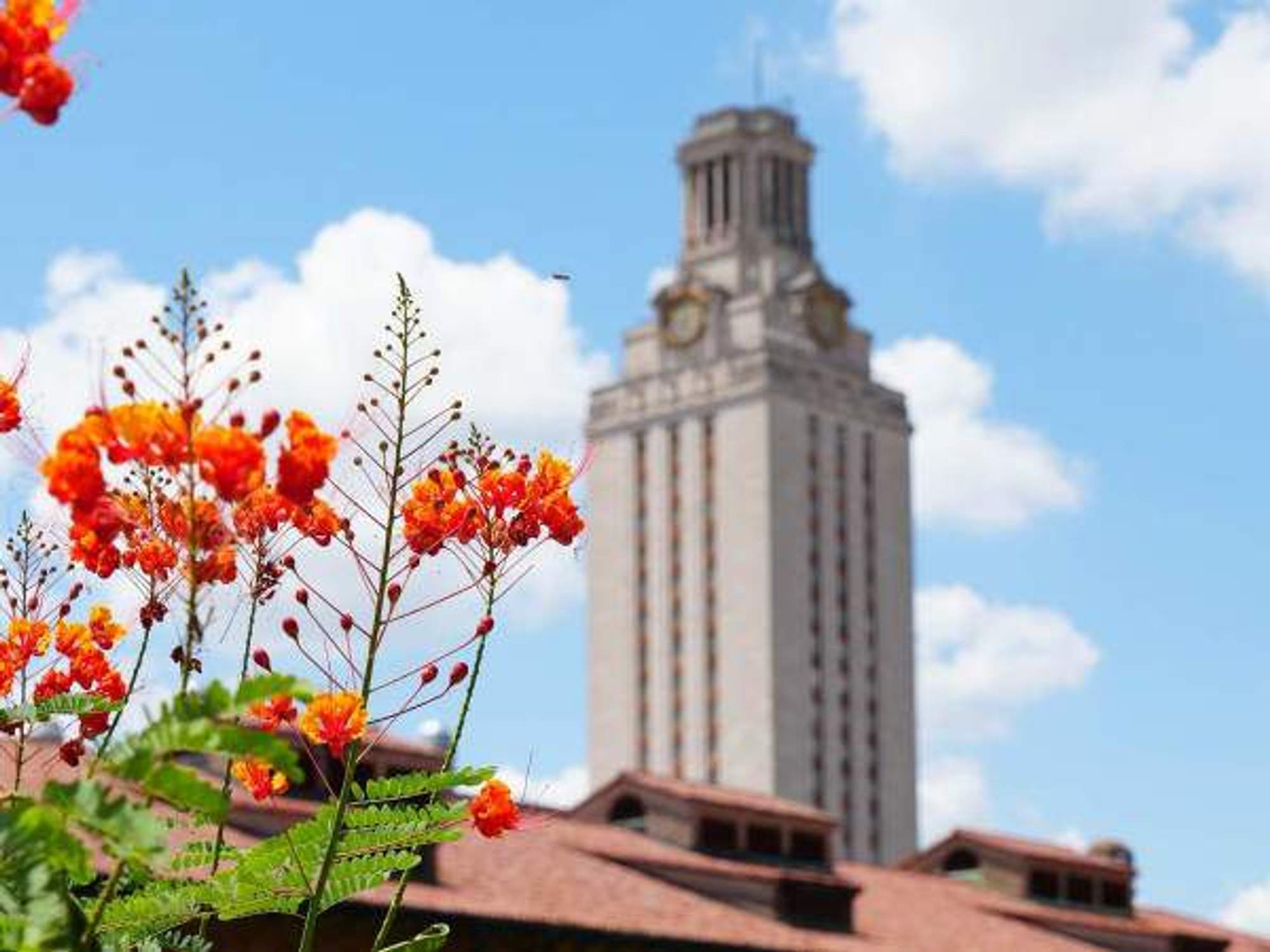 University of Texas at Austin