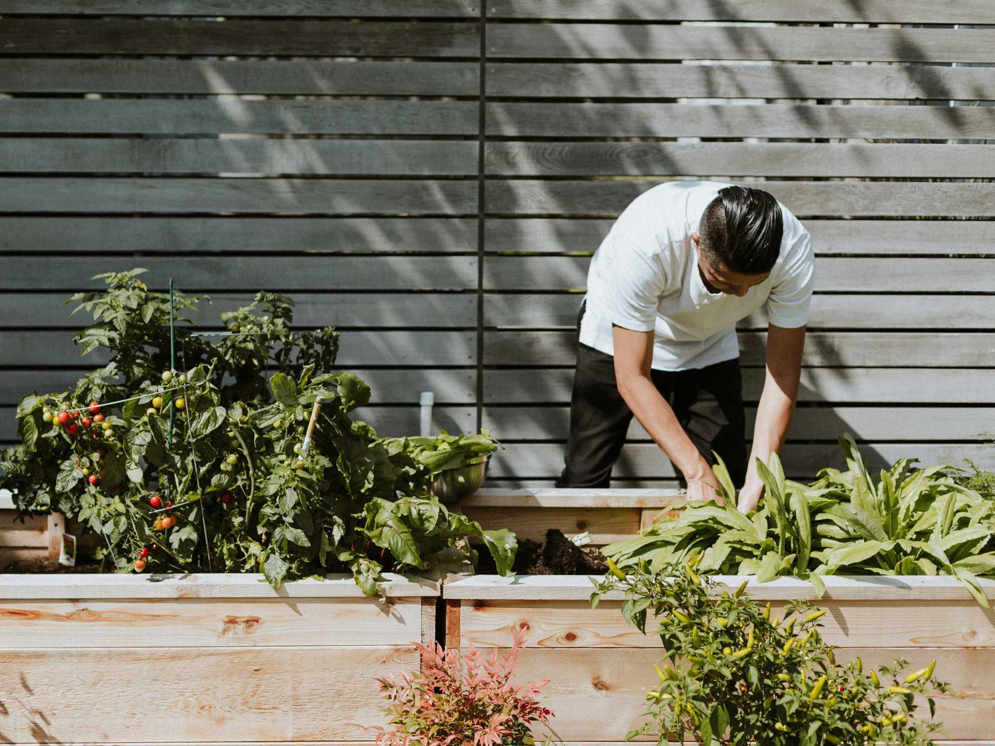 Urban gardening