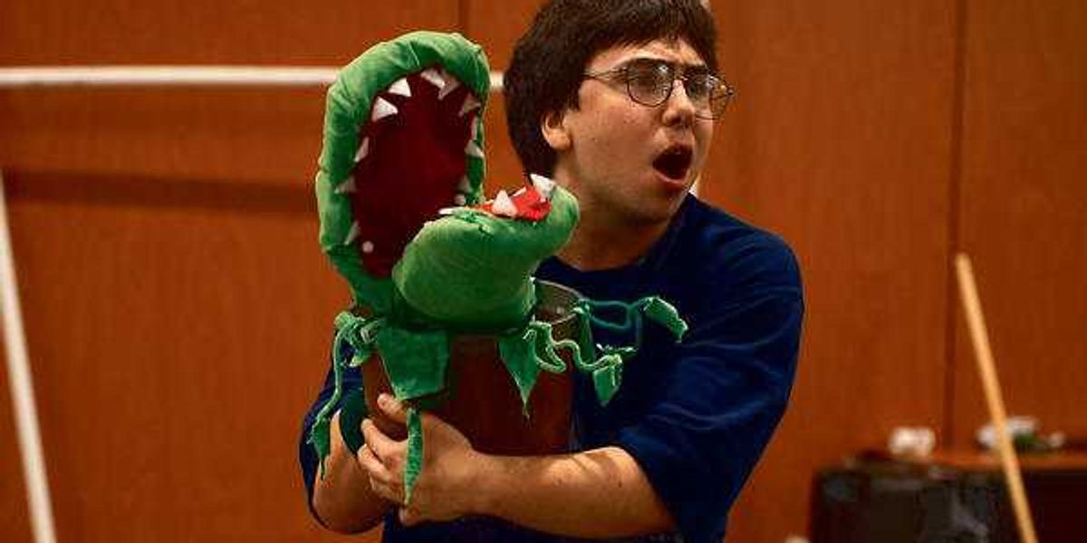 UTSA's new drama program blooms with Little Shop of Horrors