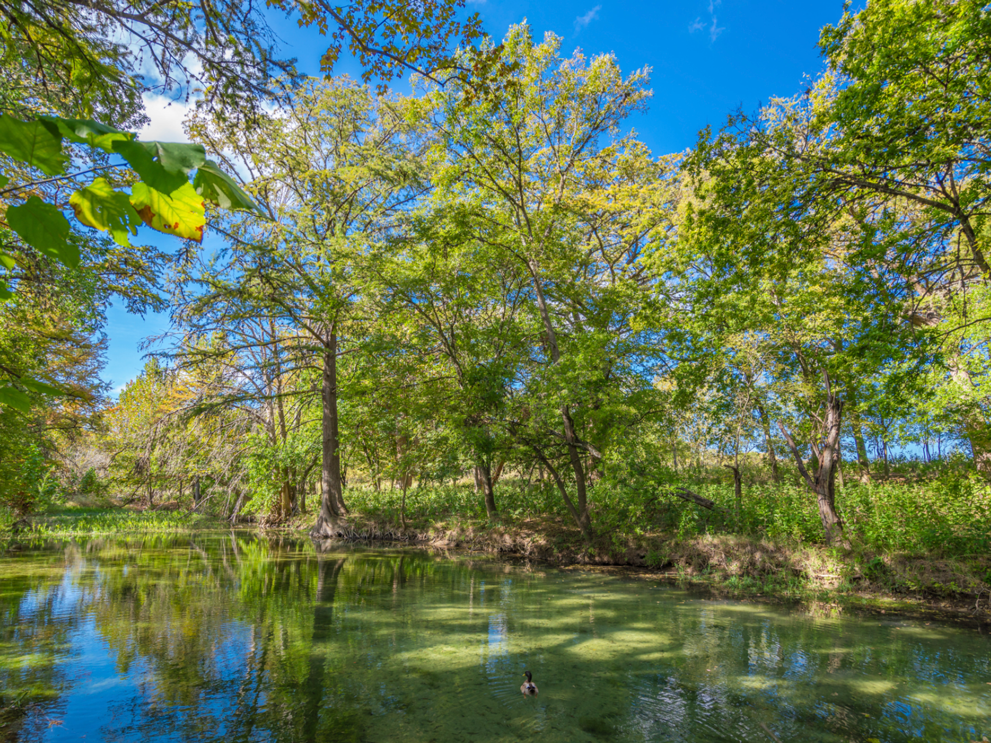 Utopia River Retreat