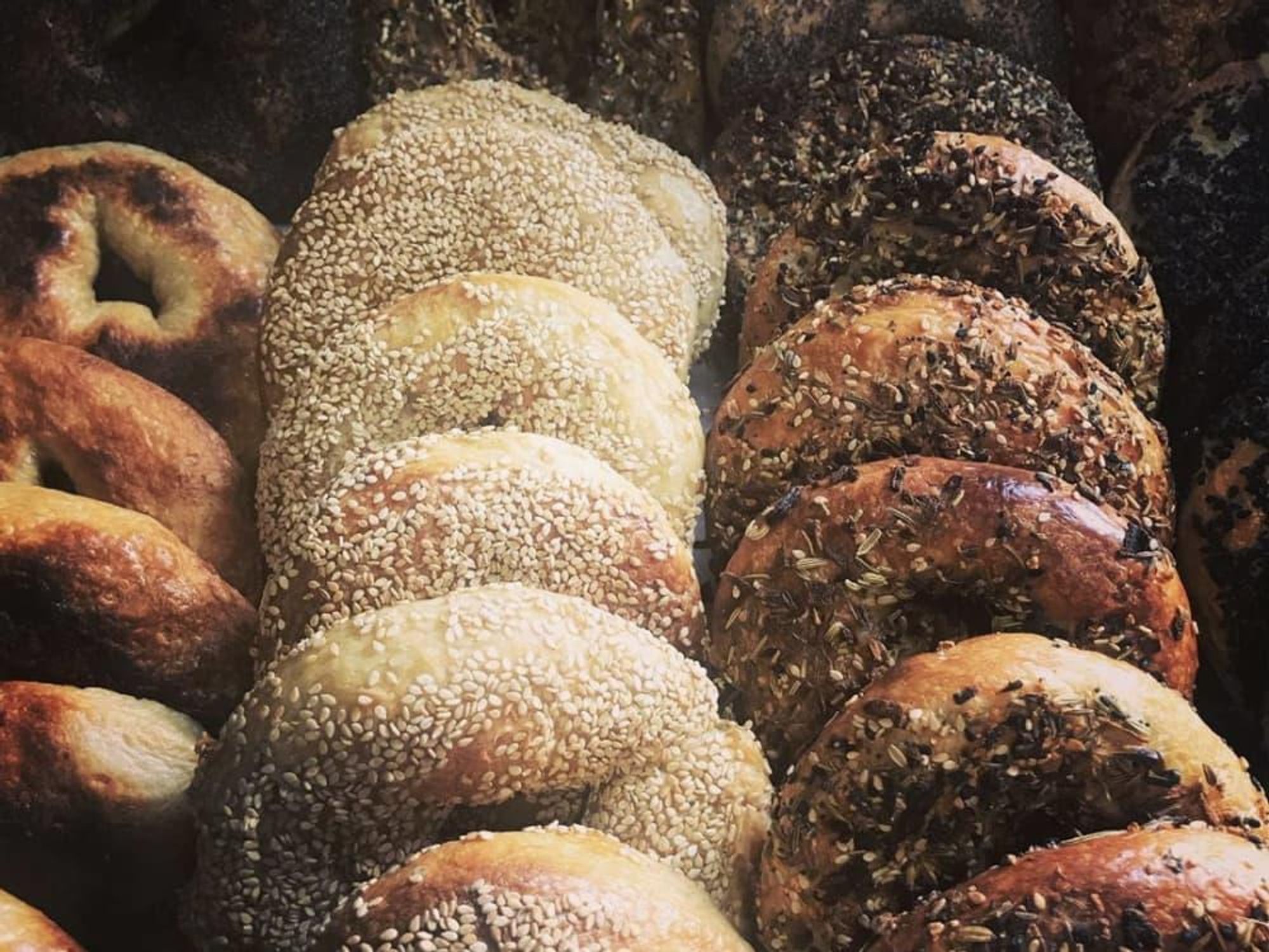 Wild Barley Kitchen Co.