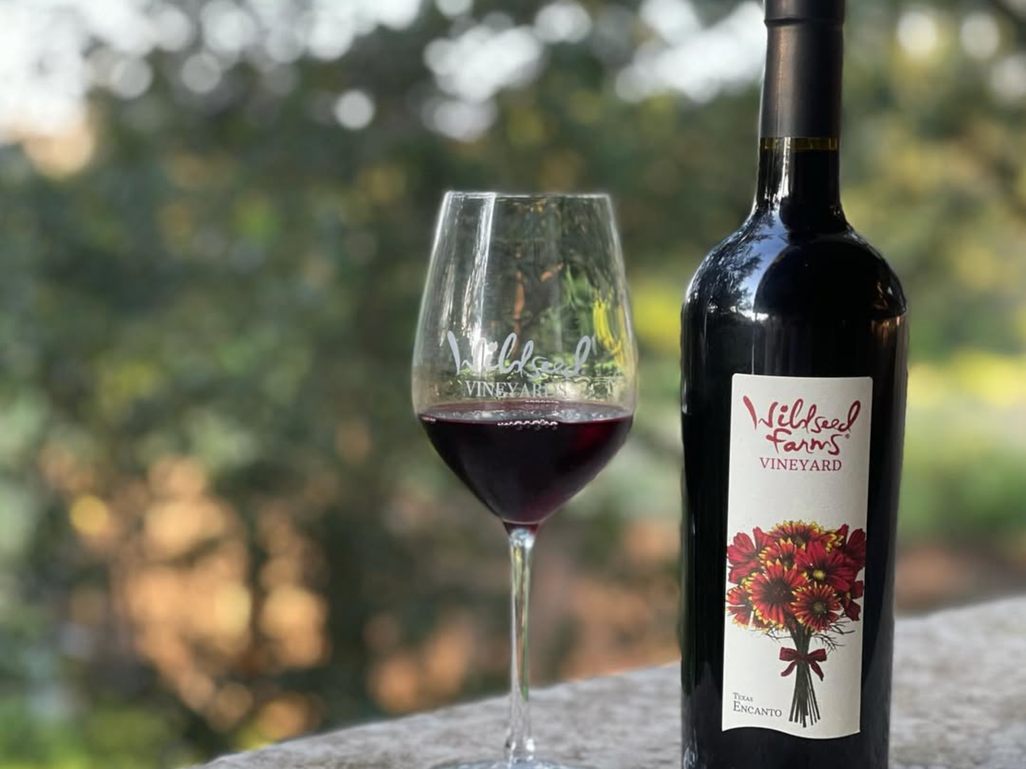 Wildseed Farms Vineyard