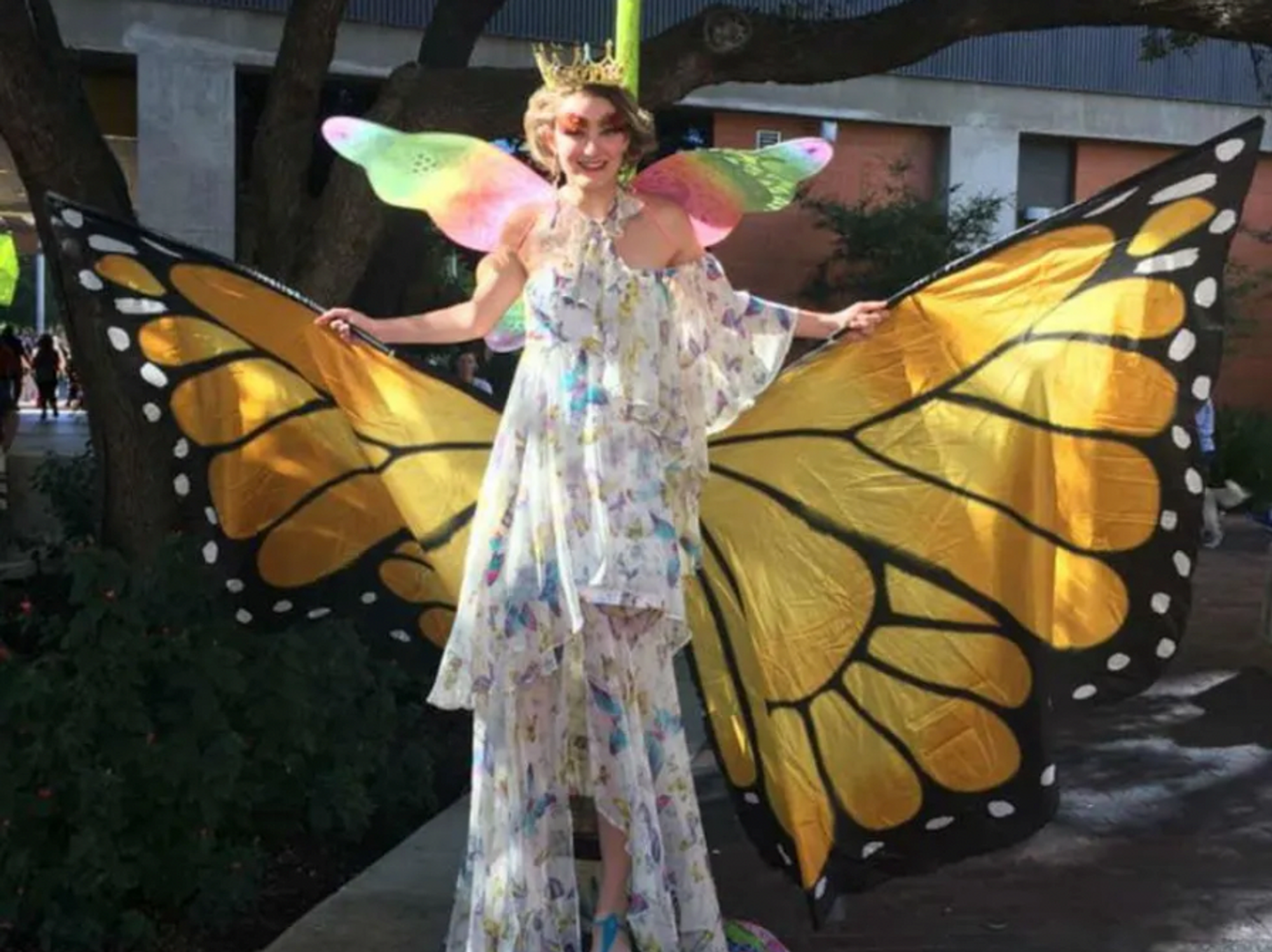 Woman in butterfly costume at Monarch Butterfly and Pollinator Festival