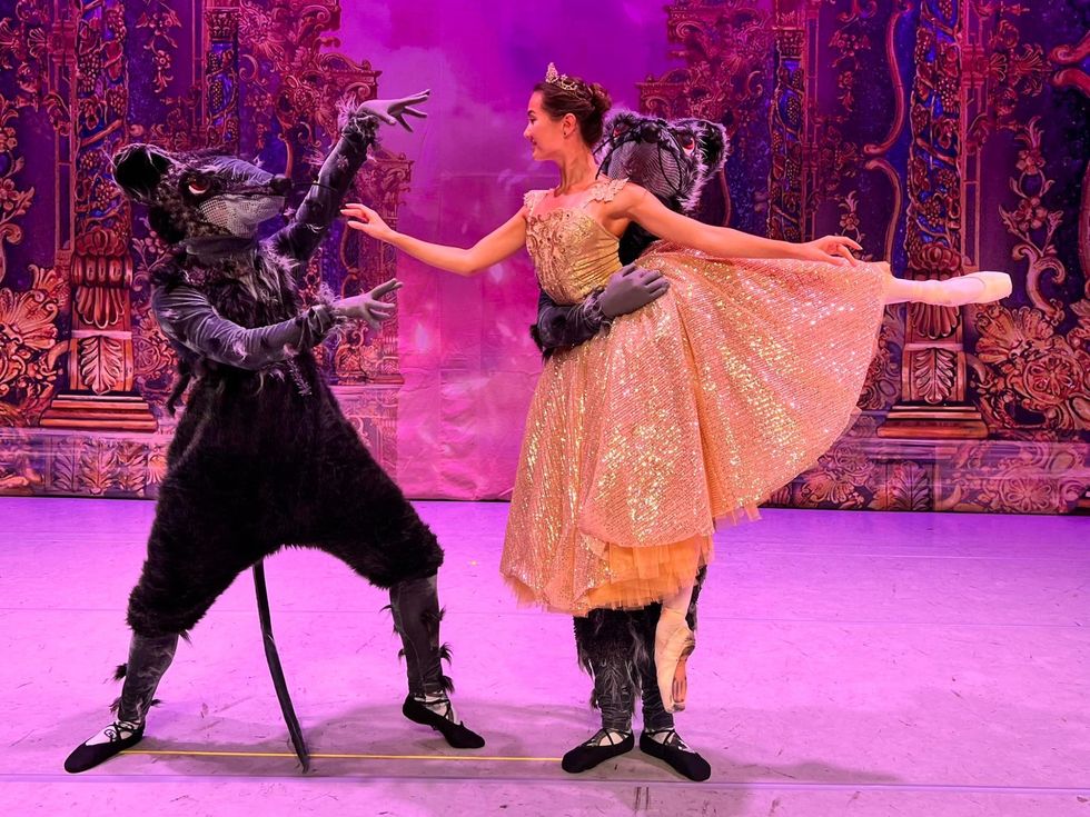 World Ballet Series: Cinderella