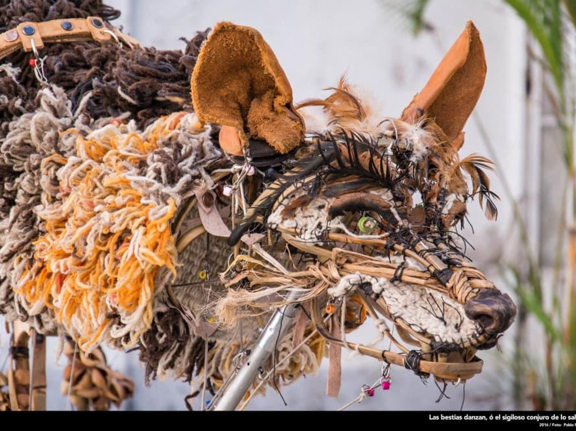 Yohuali, the Mother Wolf